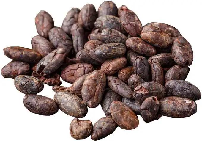 Wholesale Supplier Of Bulk Fresh Stock of Raw Dried Cocoa Beans