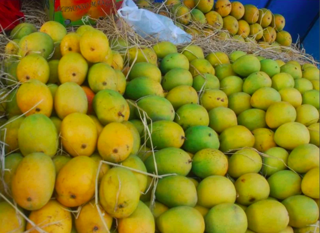 Fresh Mango