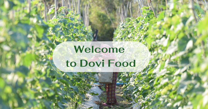 Dovi Food Co., Ltd – Trusted Vietnamese Producer of Canned & Frozen Fruits and Vegetables on Freshdi!