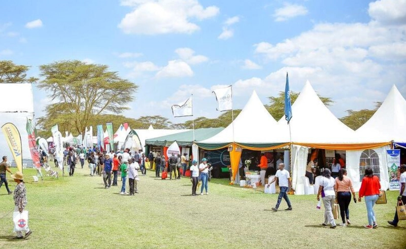 Discover Naivasha Horticultural Fair : B2B Event Guide - 3