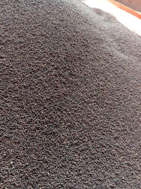 Black Pepper