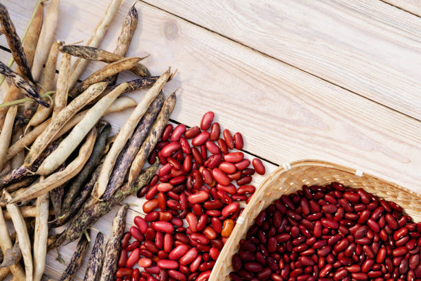 Top 6 Bean Suppliers in Ukraine in September 2025: A Comprehensive Guide to Sourcing High-Quality Bean