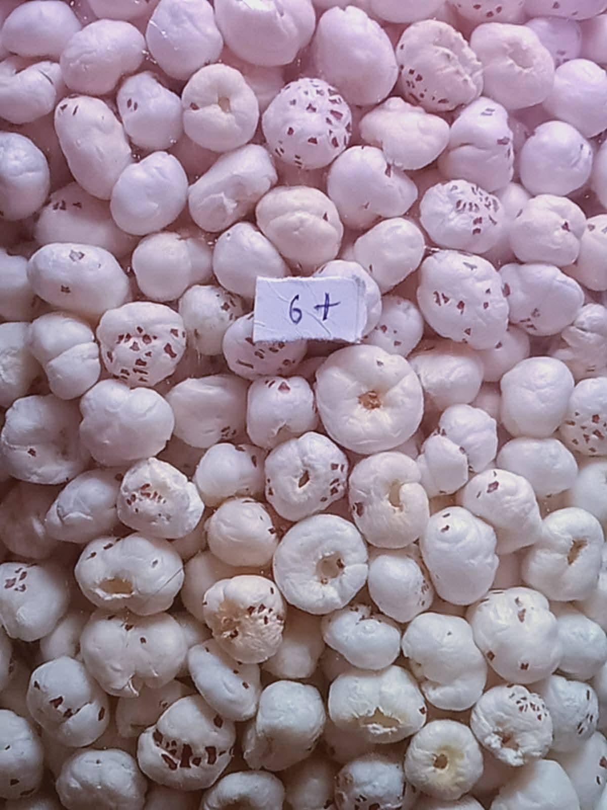 Dried Fox Nuts