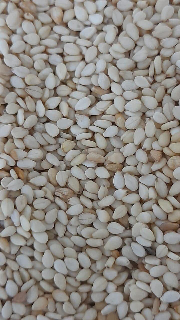 Sesame Seeds