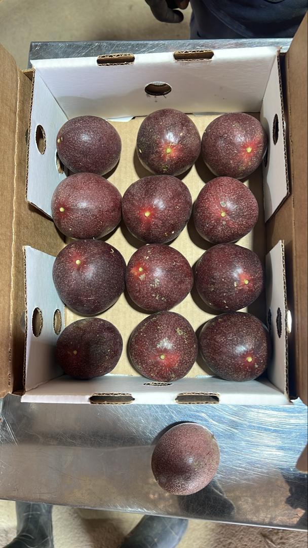 Ester Purple Passion Fruit Organic Yes Degree Of Maturity Pre-Ripened