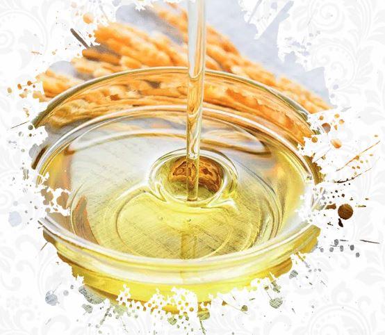 rice bran oil