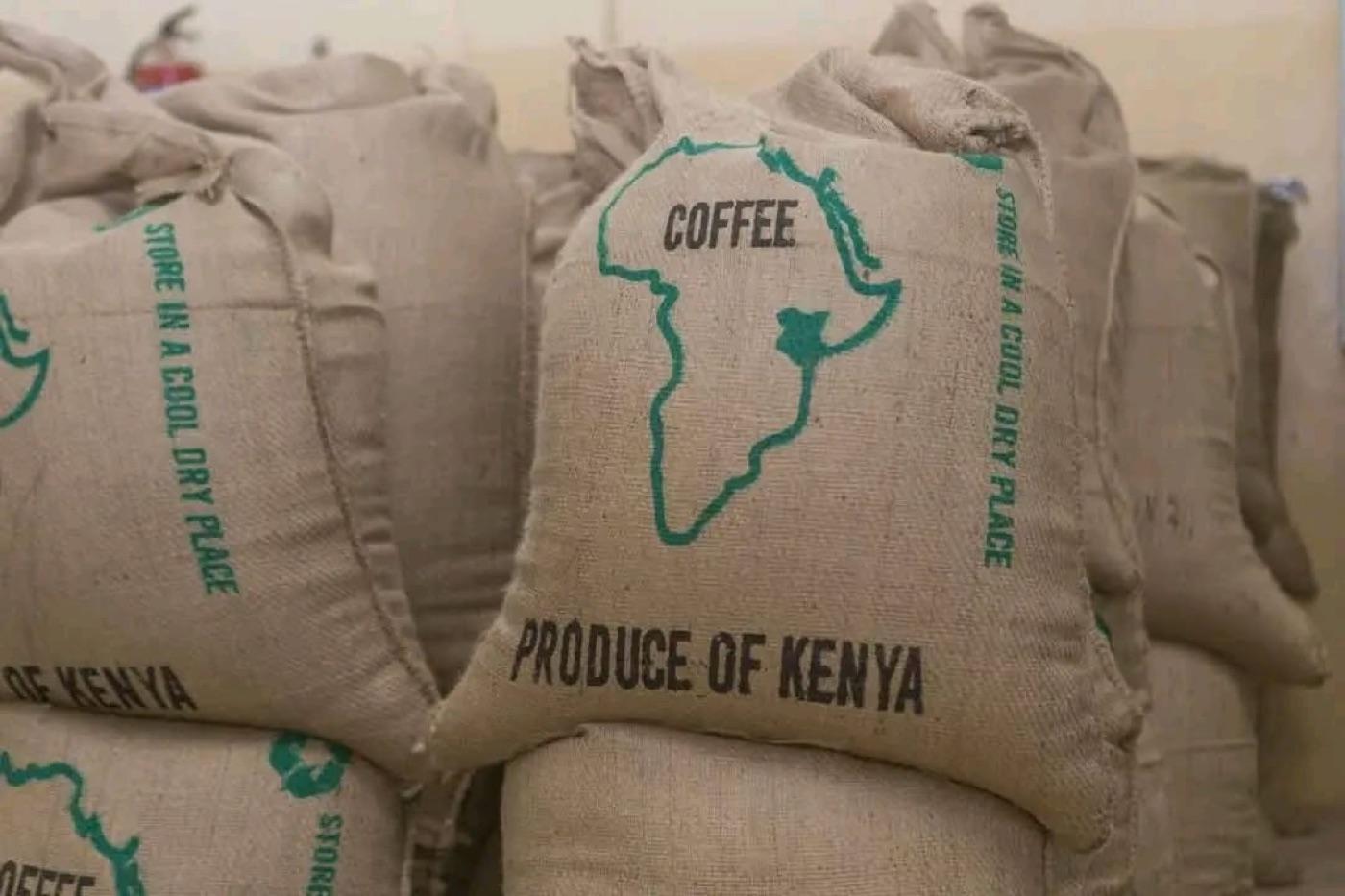 Discover the Top 7 Arabica Coffee suppliers in Kenya - 4