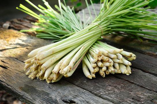 Top 7 Herbs suppliers in India — 7 Capabilities Reviewed - 7
