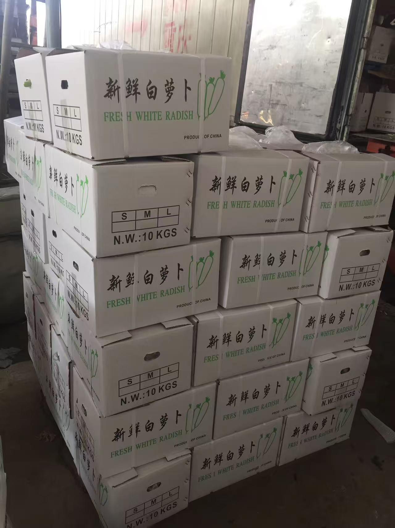 White Radish 2