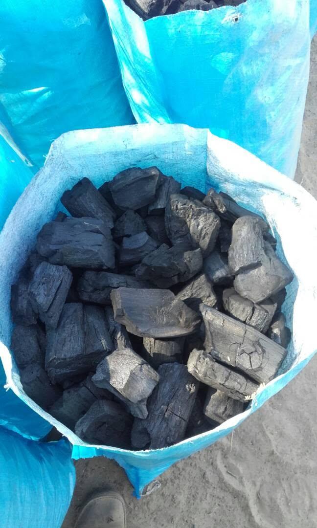 Premium Hardwood Lump Charcoal