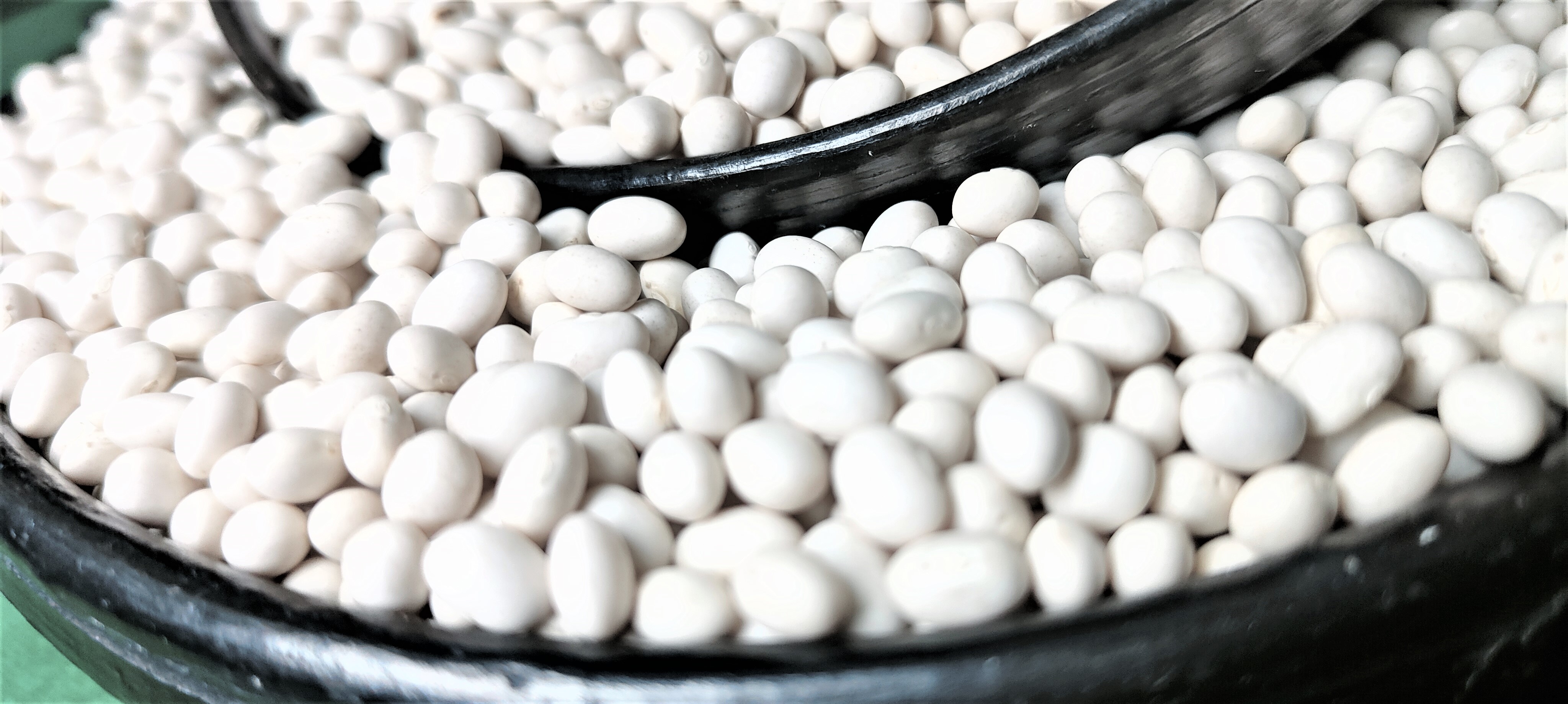 Ethiopian Origin New Crop 2024 White Pea Beans Wholesale Dried Handpicked and Polished Bulk Quality Kidney beans.