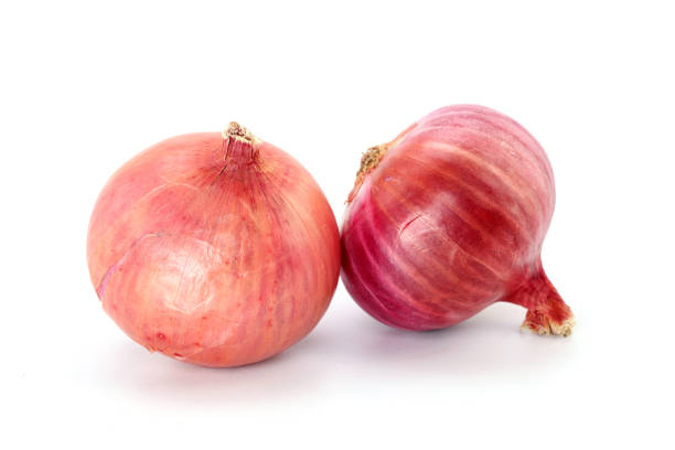 Top 4 Fresh Onion Suppliers in Indonesia in Quarter 3 of 2025