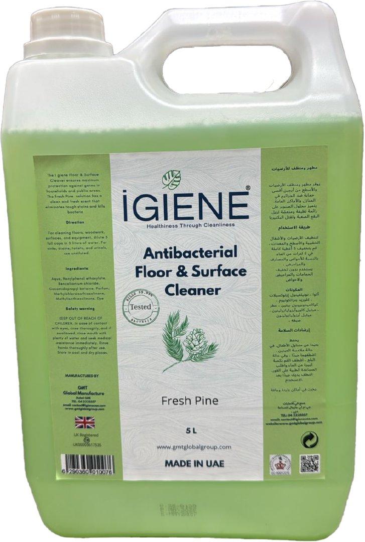 Antibacterial Cleaner Eucalyptus and Mint