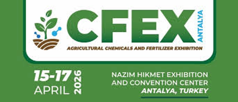Why CFEX Matters for B2B