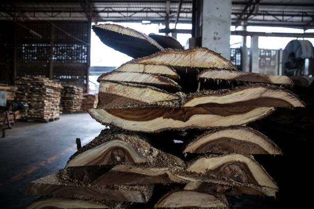 Top 4 Wood Suppliers in India in Quarter 2 of 2025