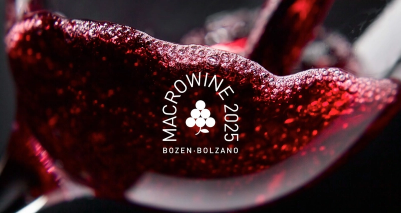 Inside MACROWINE Conference: B2B Key Insights