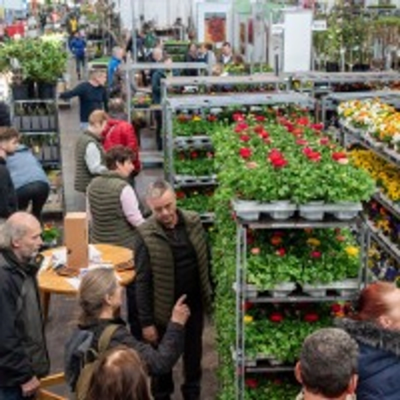 Why Floriga Expo Matters for B2B - 1