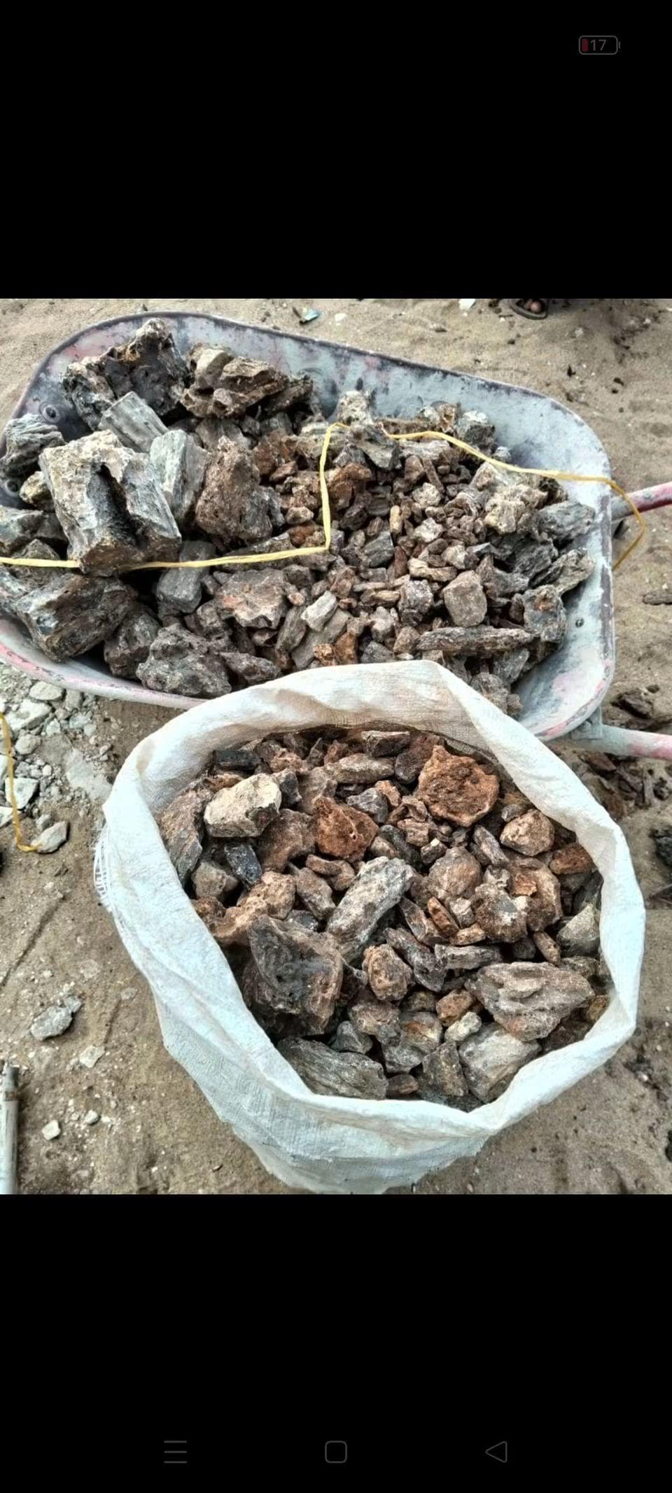 Damar Batu Meranti