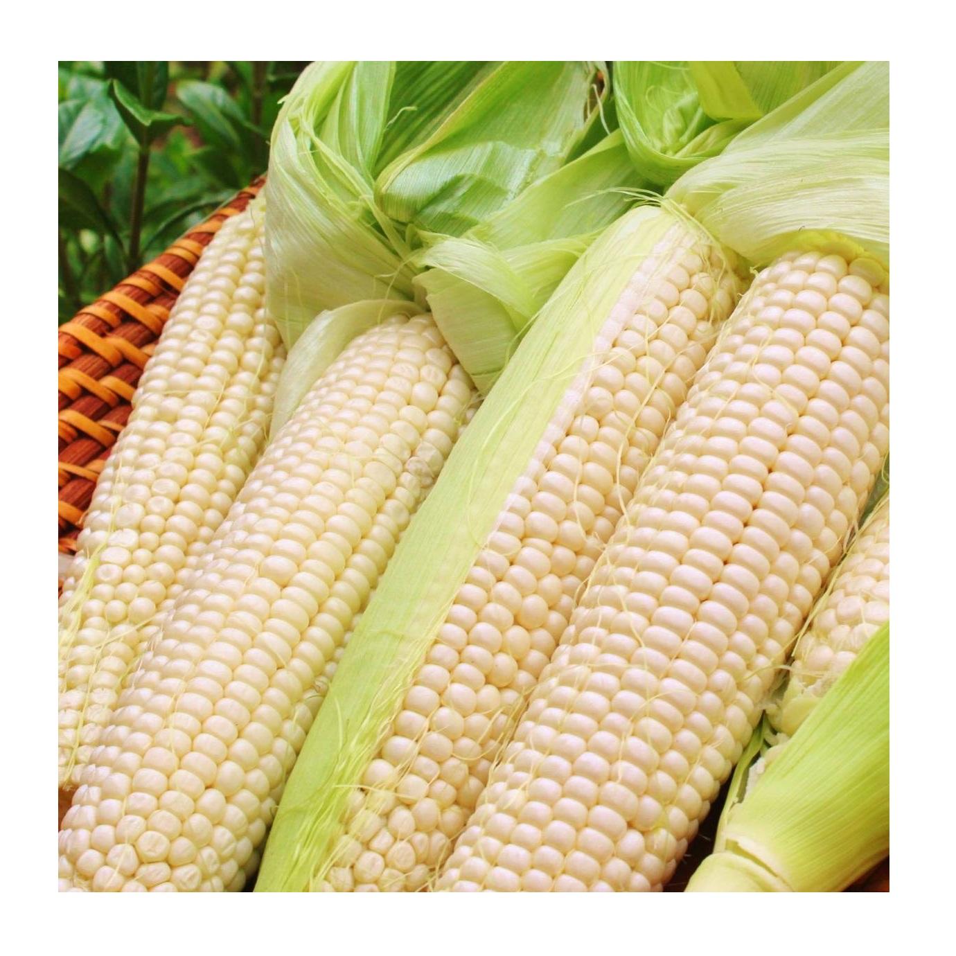 b7c810e2493f469097e61624b87b3053