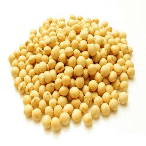 Discover the Top 5 Soybean suppliers in Thailand - 1