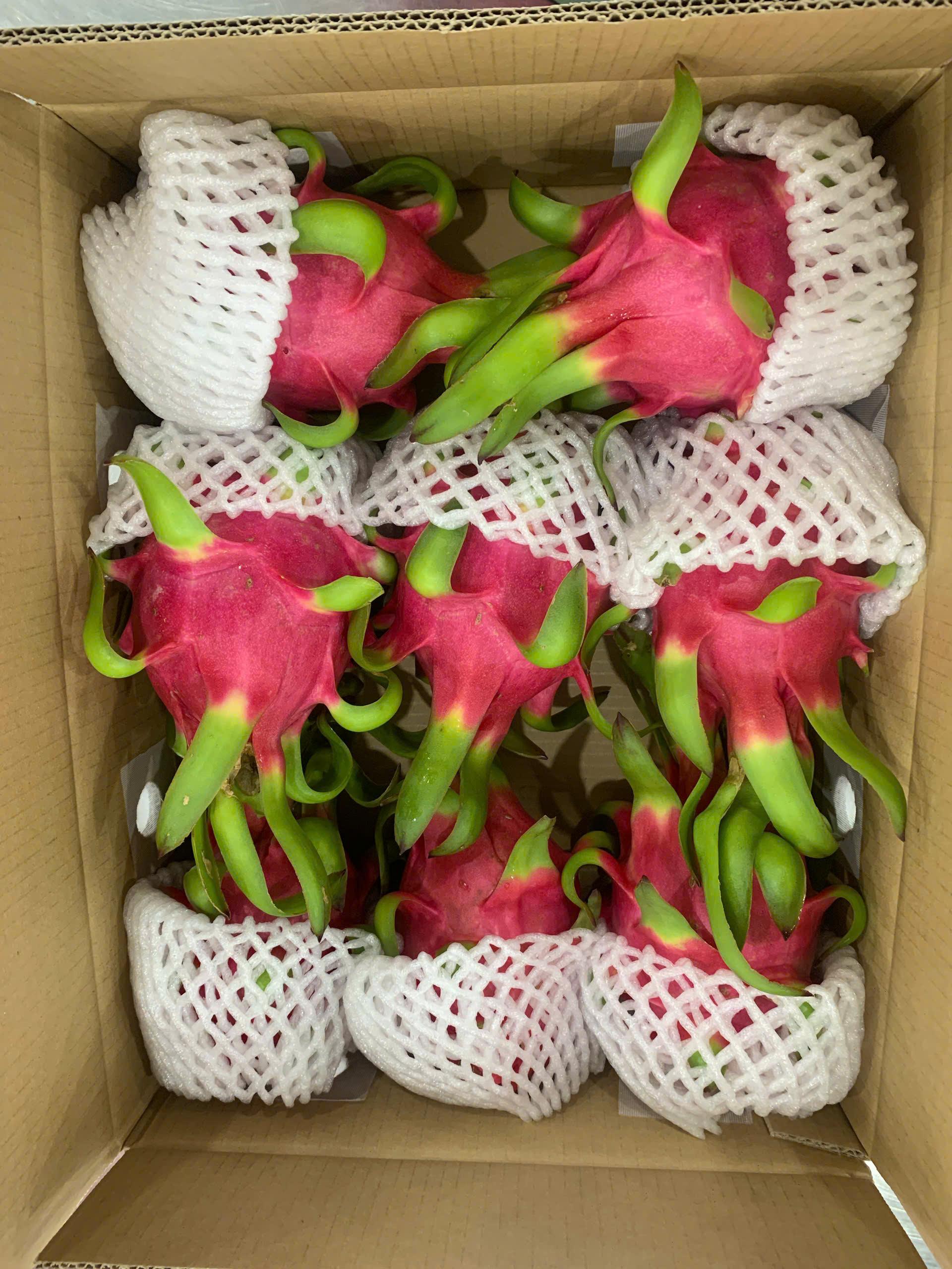 Meet the Top 5 Fresh Fruits suppliers in Vietnam - 3