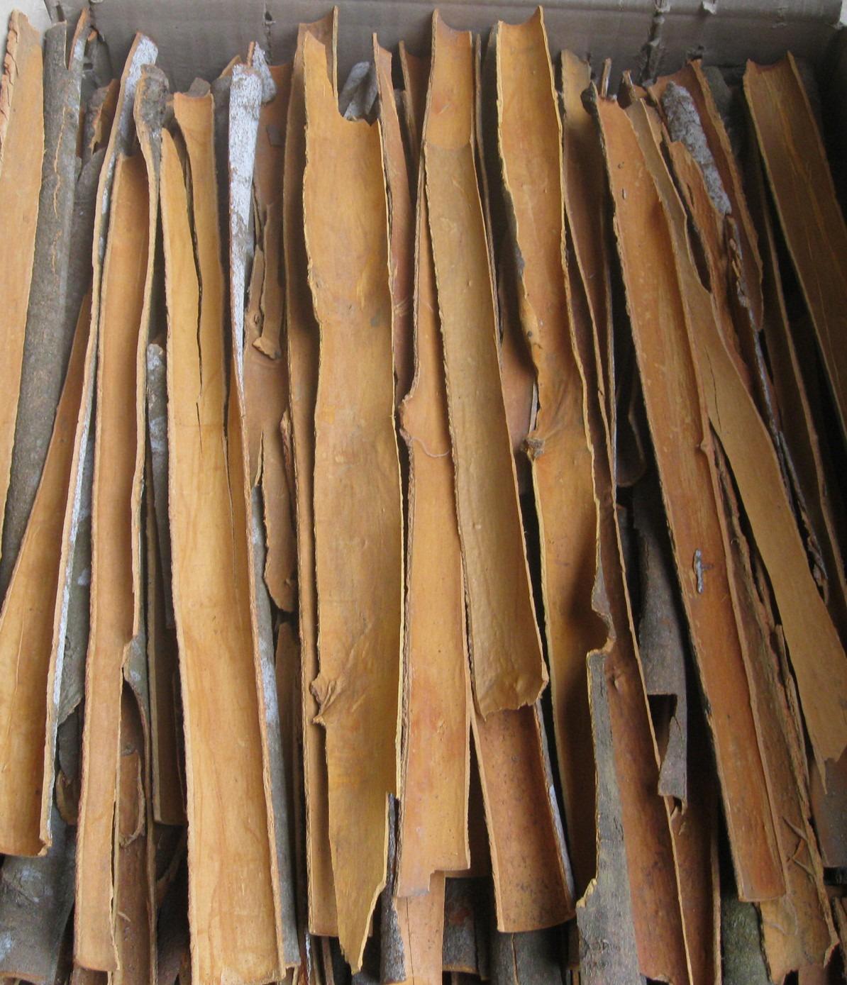 New Season Split Cassia Stick Premium Quality Dried Cinnamon New Season High Quality Premium Grade Cinnamon