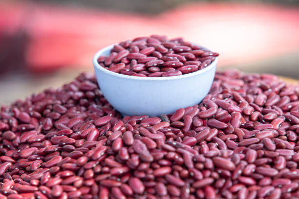 A Comprehensive Guide to Sourcing High-Quality Kidney Beans: Top 10 Kidney Beans Suppliers in Bangladesh in July 2025