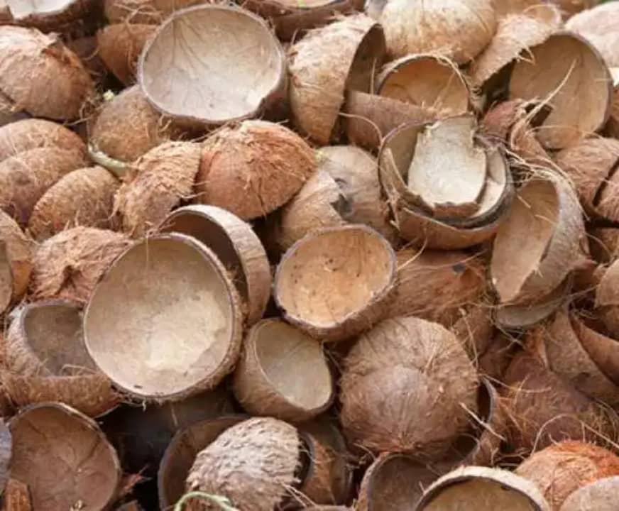 Premium Quality Coconut Shells Ready for Fast Delivery! Best Wholesale Price on Agricultural Waste