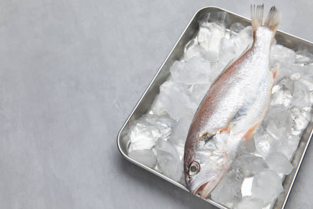Frozen Fish in Ukraine: Top 4 Frozen Fish Suppliers in Ukraine in June 2025