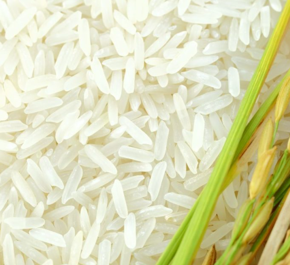 Factory direct Sella Basmati rice supplied in bulk for food markets and importers