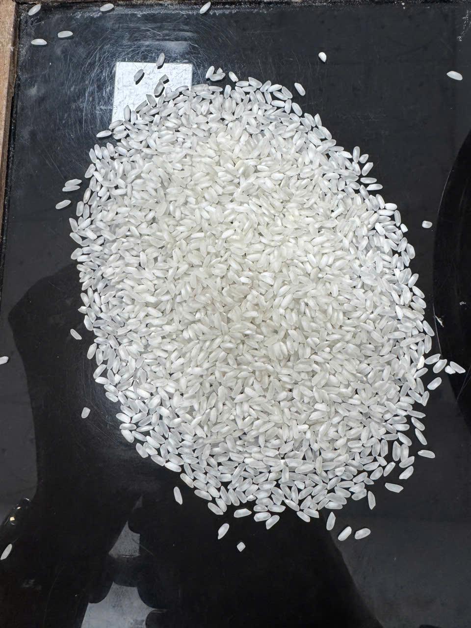 Medium Grain Rice