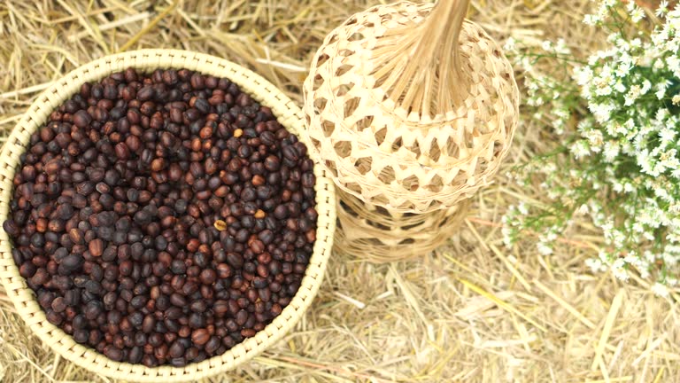 Top 10 Coffee Bean Suppliers in Global in July 2025: Navigating a Dynamic Market