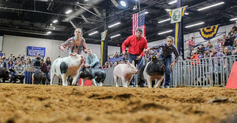 Unlock Pennsylvania Farm Show: Must-Know B2B Event - 2