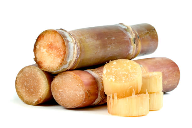 Top 9 Sugarcane Suppliers in China in July 2025: A Timely Market Analysis