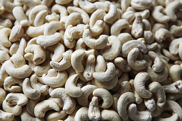Top 9 Cashew Nut Suppliers in Brazil in Week 25 of 2025