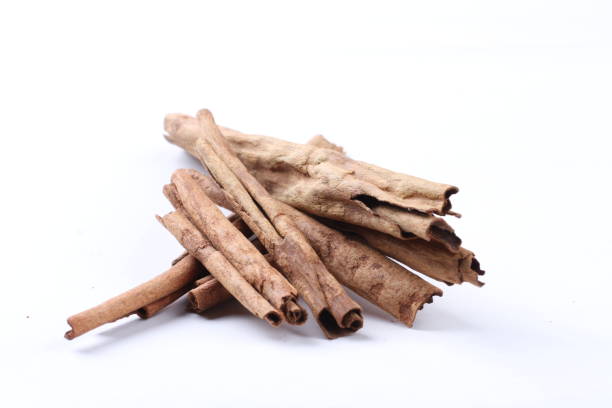 A Comprehensive Guide to Sourcing High-Quality Cinnamon: Top 4 Cinnamon Suppliers in Indonesia in Year 2025