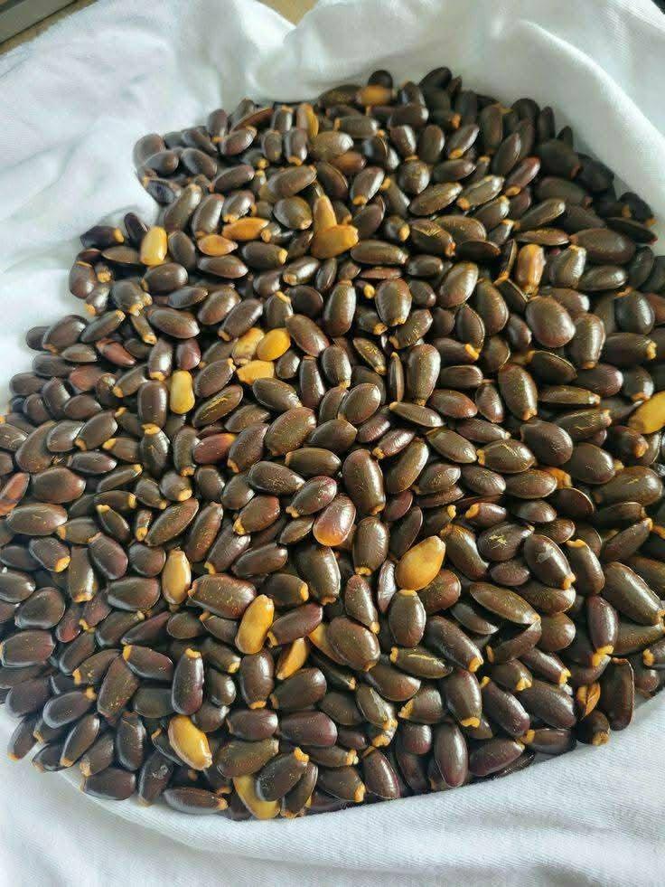 BLACK TEA Grade A Form SOLID Tea Type Bai Mudan Shelf Life 2 YEARS Delivery Form Tea Bag Cultivation Type COMMON Origin Africa, Sri Lanka