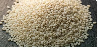 Sesame Seeds