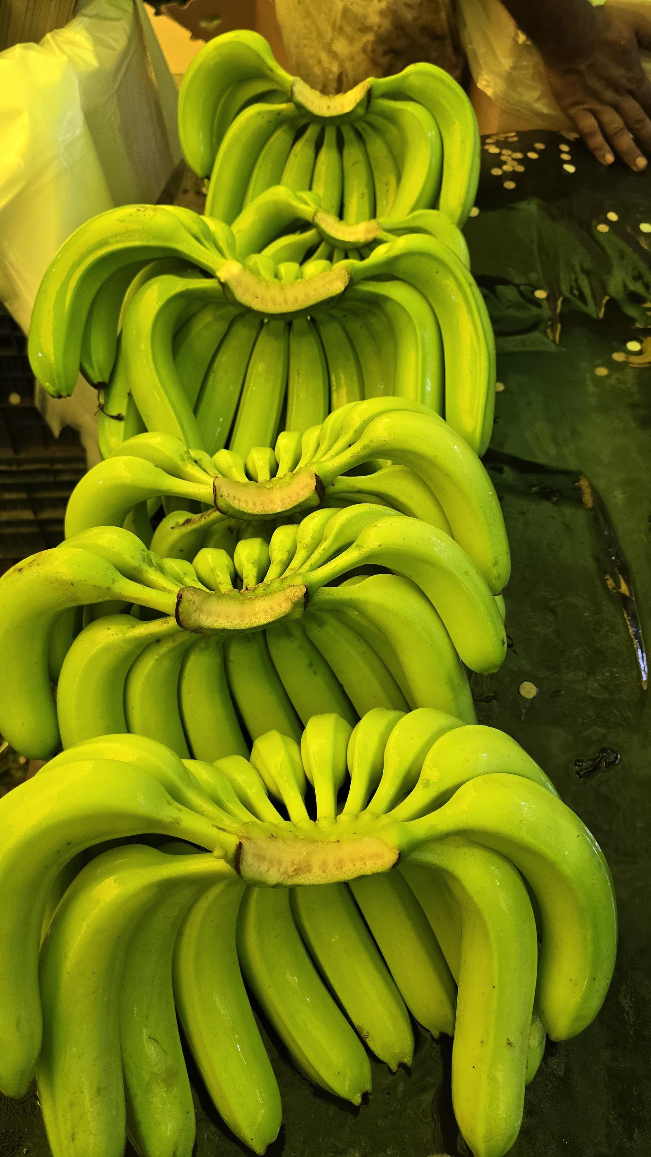 Banana Packaging