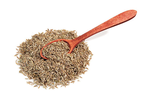 Your Expert Guide to Procuring Top-Tier Cumin Seeds: Top 9 Cumin Seeds Suppliers in Philippines in Year 2025