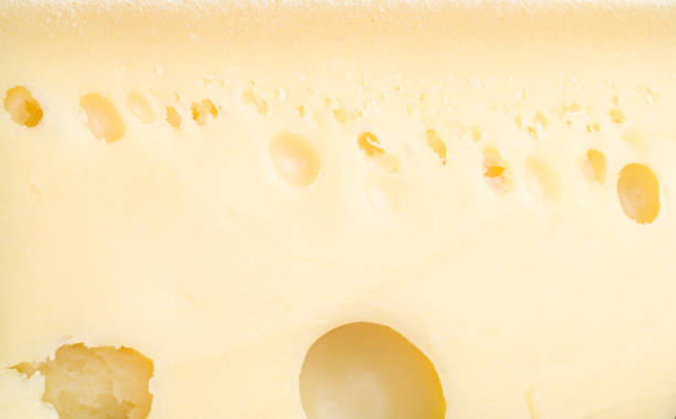 Top 5 Cheese Suppliers in Brazil in Quarter 3 of 2025: A Data-Backed Export Guide