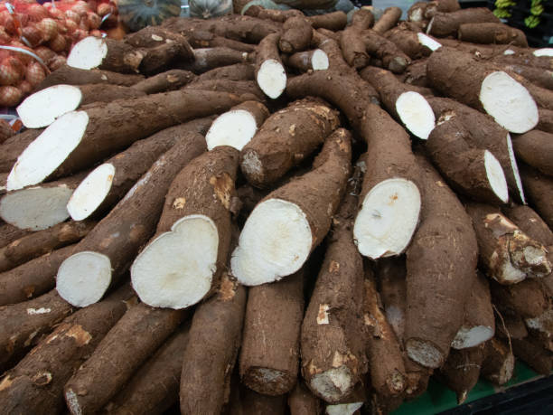 A Comprehensive Guide to Sourcing High-Quality Tapioca Starch: Top 7 Tapioca Starch Suppliers in United States in Year 2025