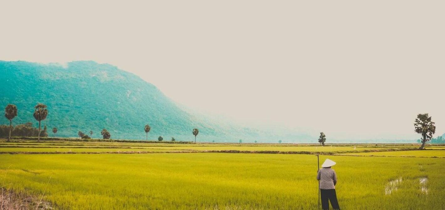 HOA CUONG GROUP – Trusted Supplier of Canned & Processed Fruit from Vietnam on Freshdi