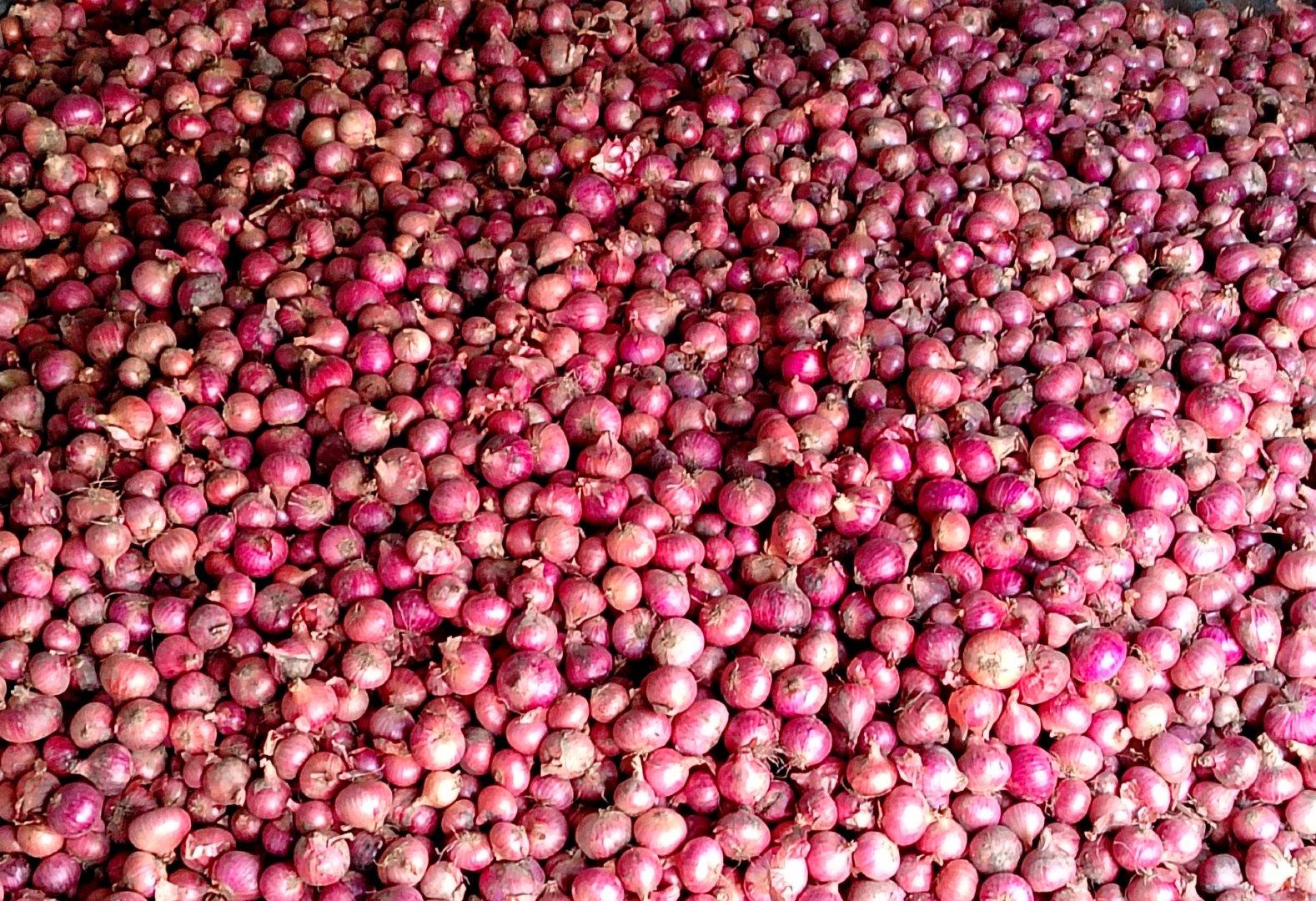 Fresh Onion