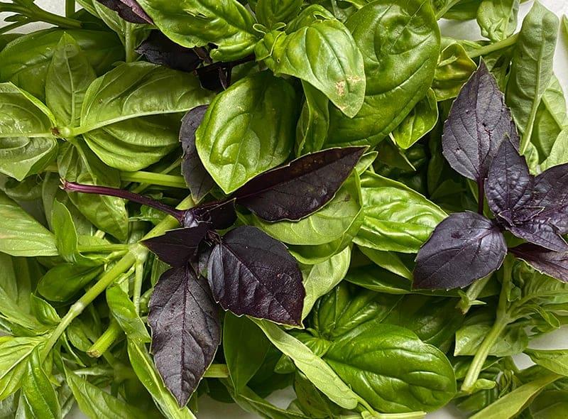 Top 6 Herbs suppliers in Egypt — 6 Capabilities Reviewed - 5