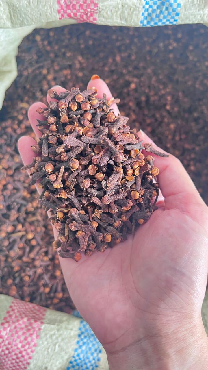 Cloves AB6 lalpari