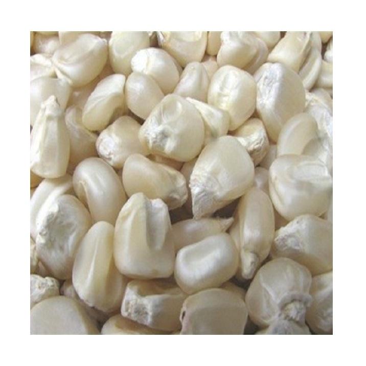 bc47c00c9662492192bee304fff349aa