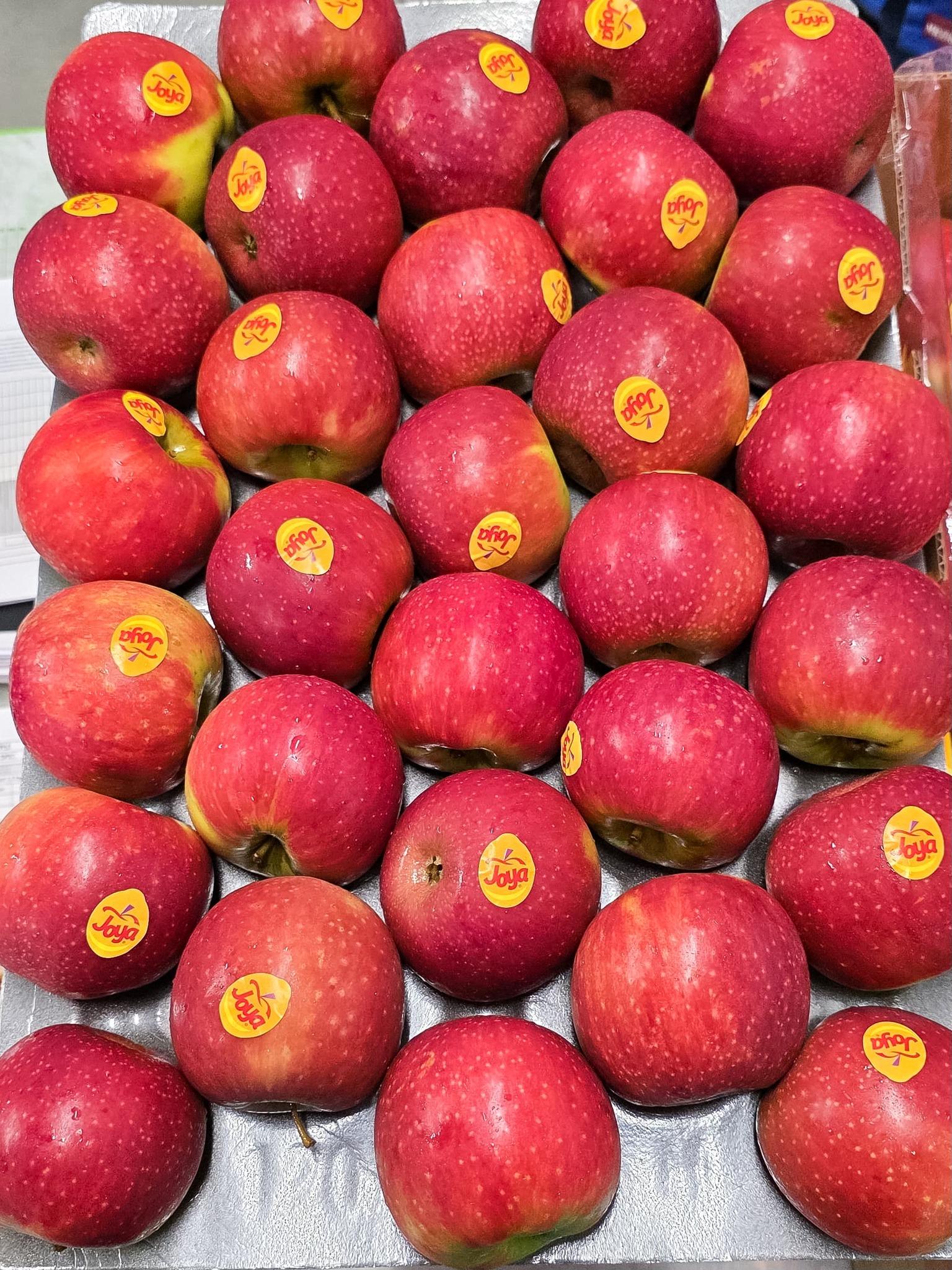 Fresh Quality Joya Apples for sale Organic Yes Degree of Processing Fresh
