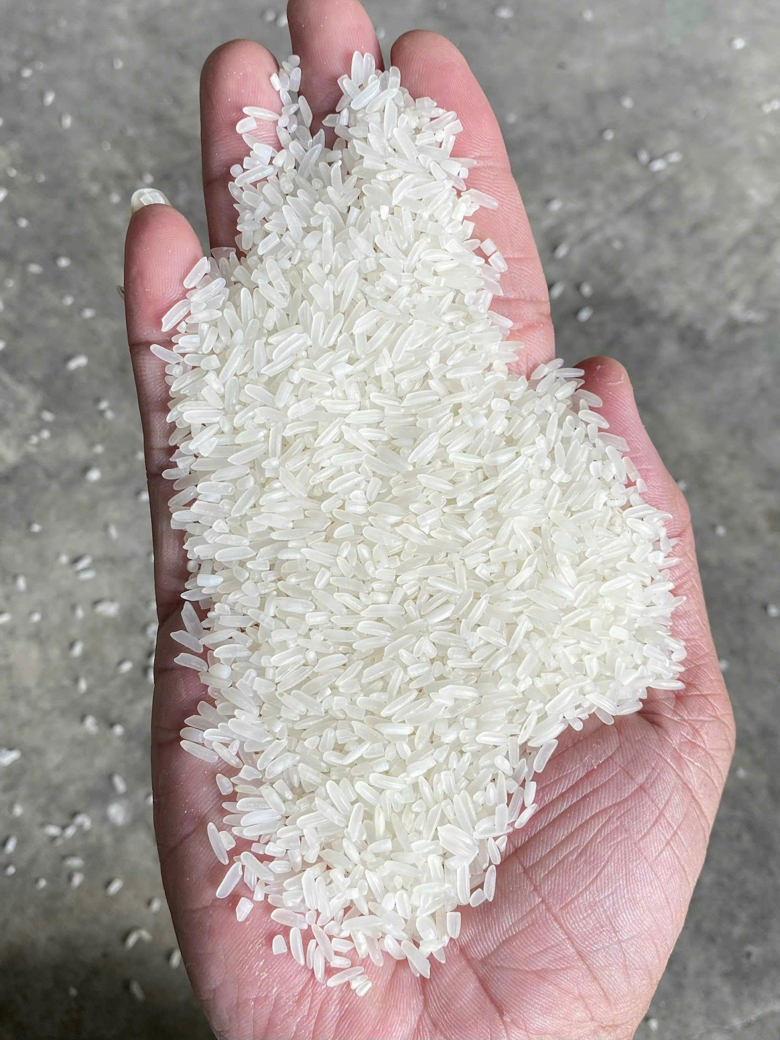 Vietnamese Rice