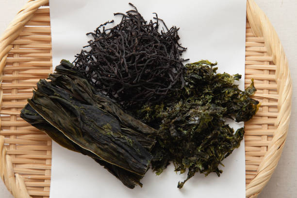 Top 6 Seaweeds Suppliers in India in Quarter 3 of 2025